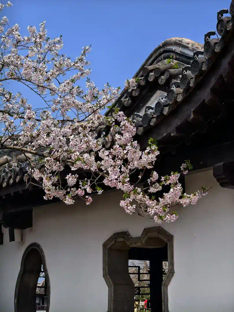 1397efd39a86a9fb235214fcf59dbf5e