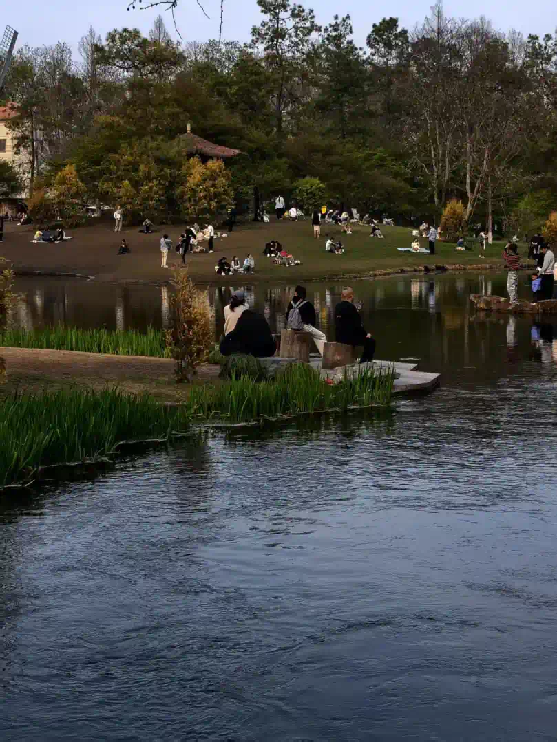 366942693586cbea92ffac8525cd5f00