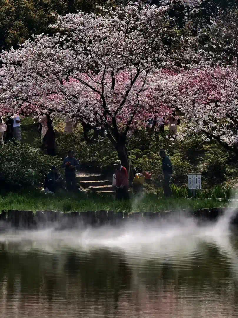 4559586f7ec6207098b72c9a8f6f7e46