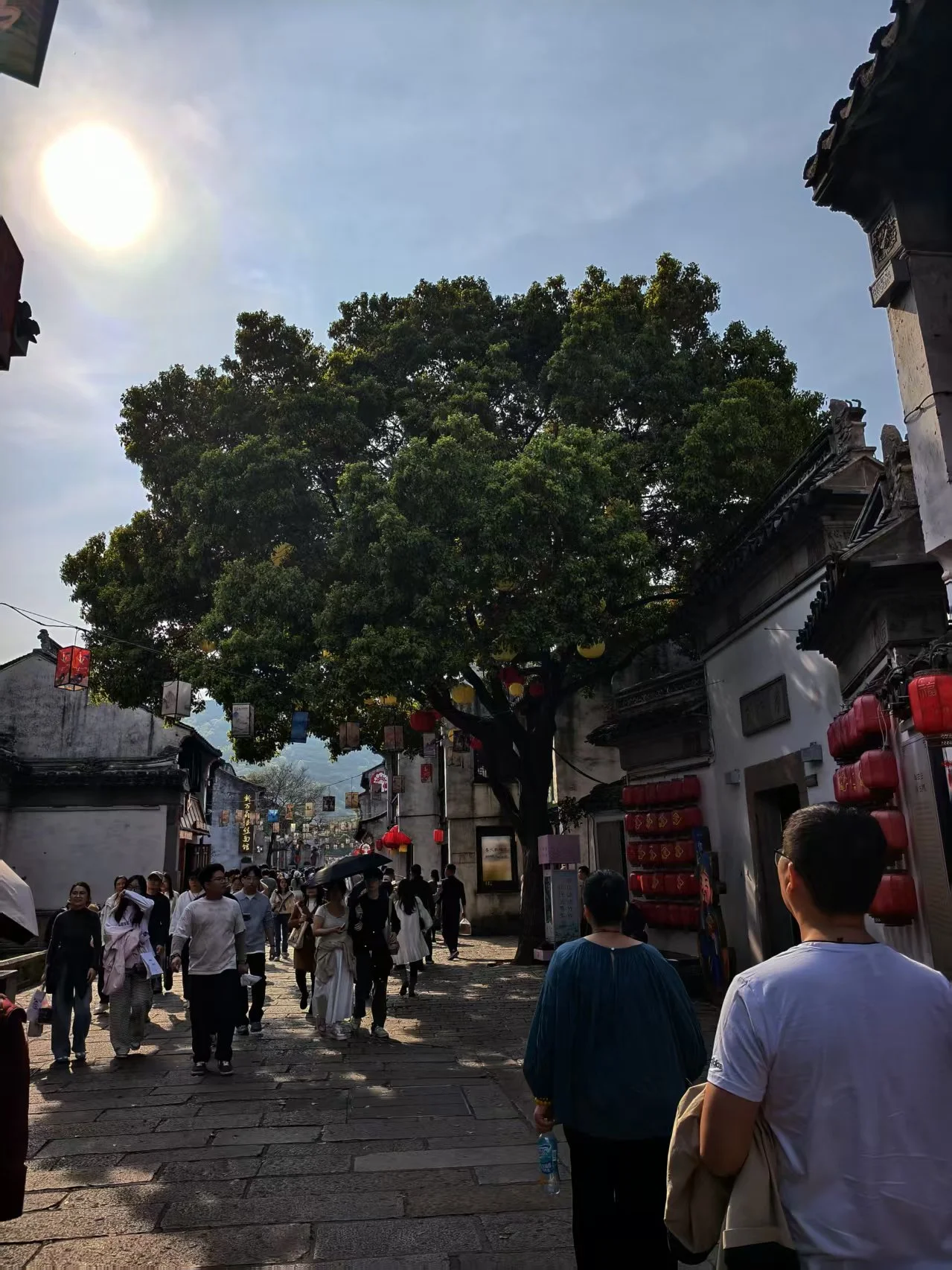 493e56c23a9bf7eafa065a93a2cc50e5