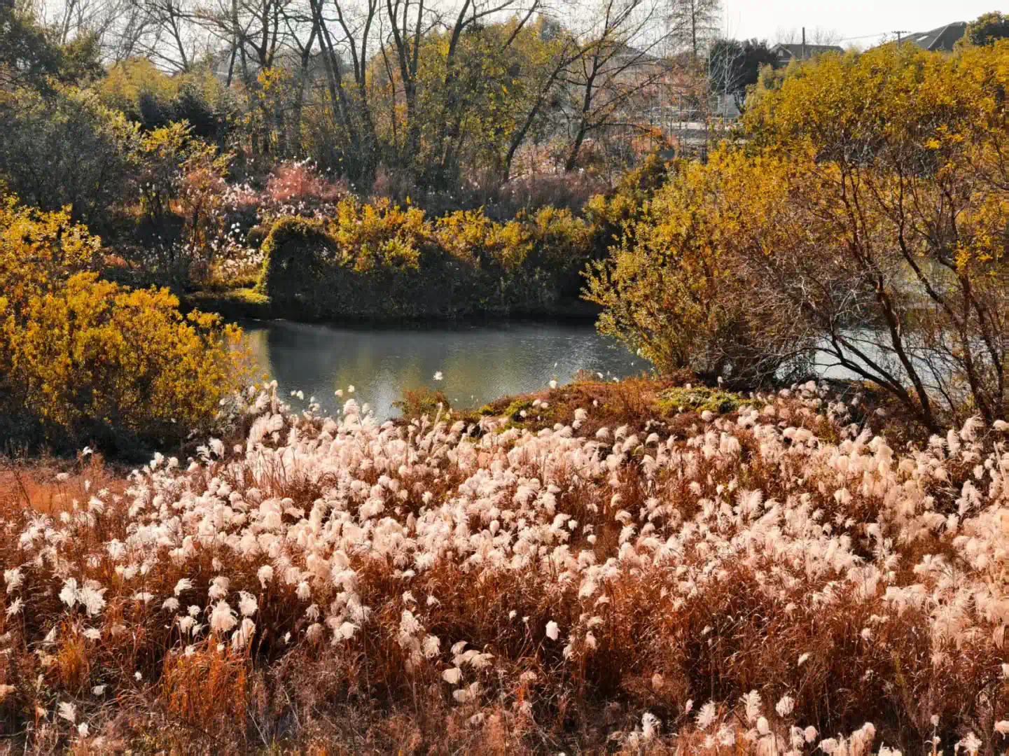 71965cb7eefef5d0b4f08260c527bfd