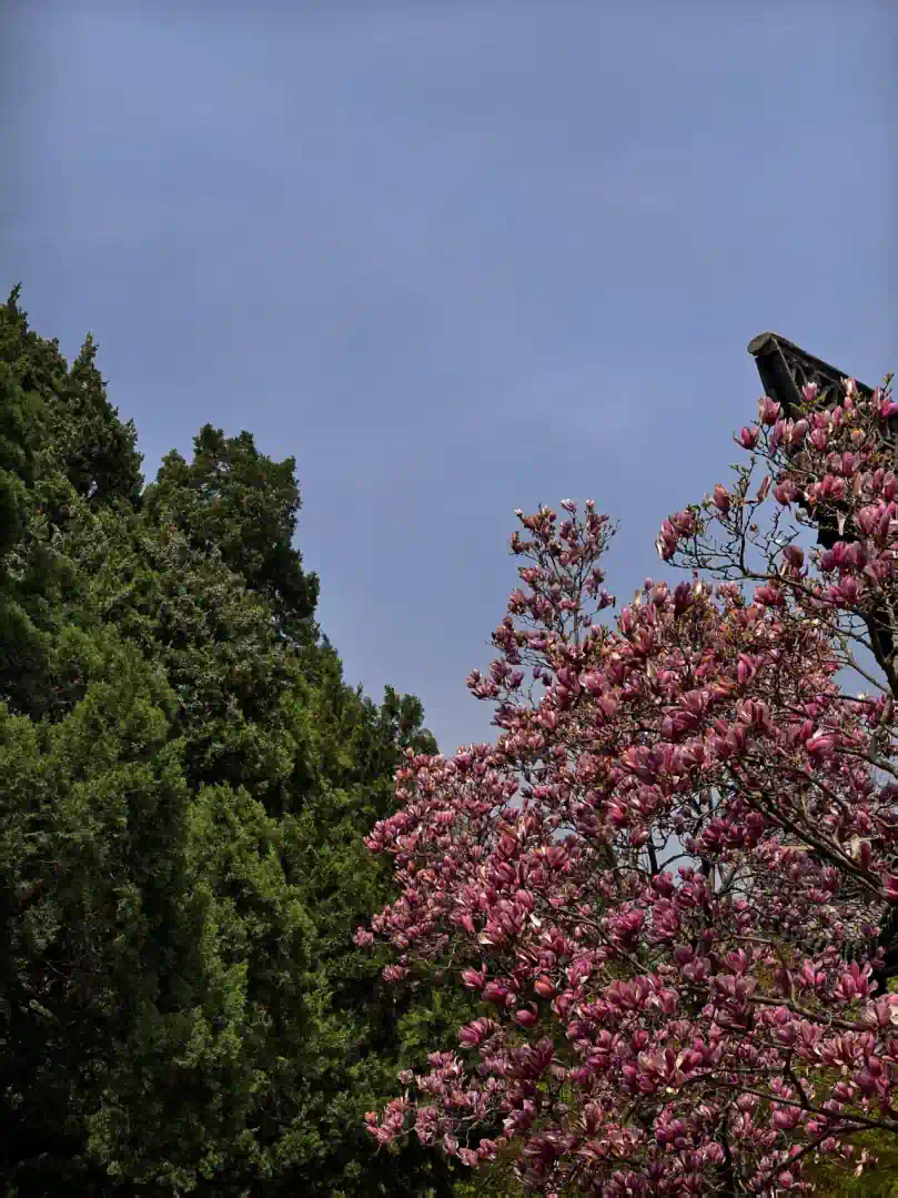 7fa8ec66a512b8368f2161b350a0af5e