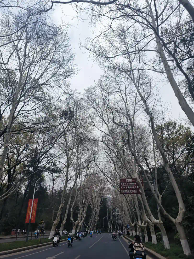 MVIMG_20250323_143958_1