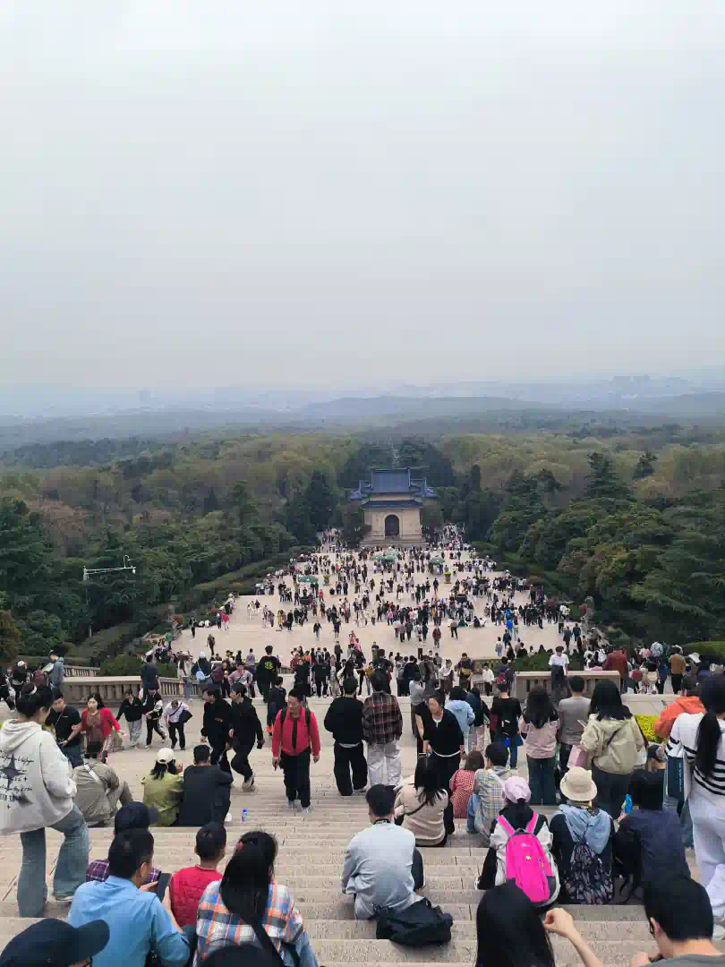 MVIMG_20250323_152259