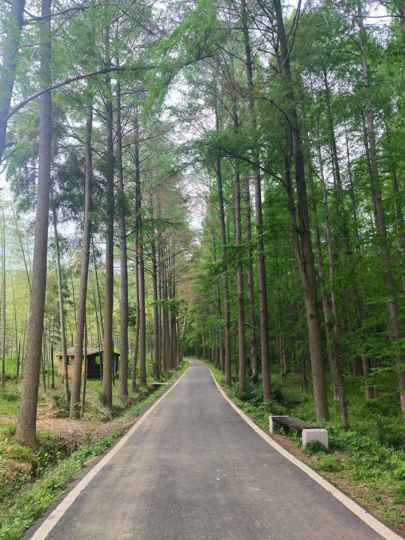 MVIMG_20250419_145756