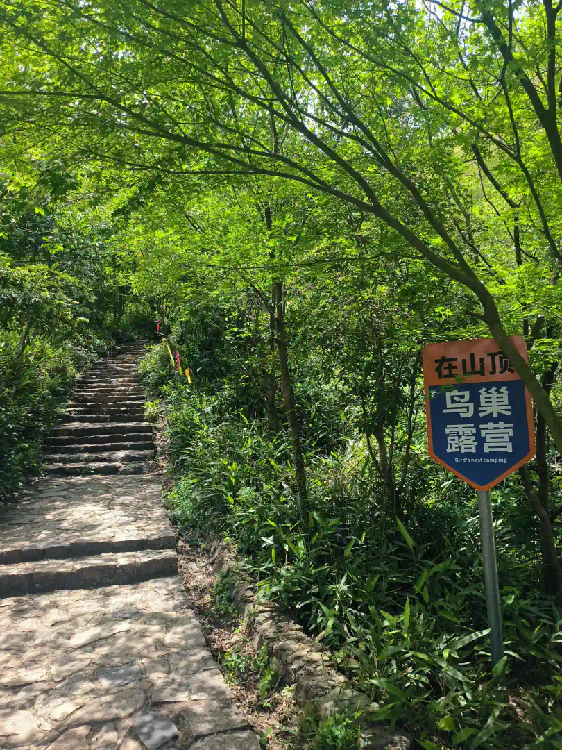 MVIMG_20250426_123535