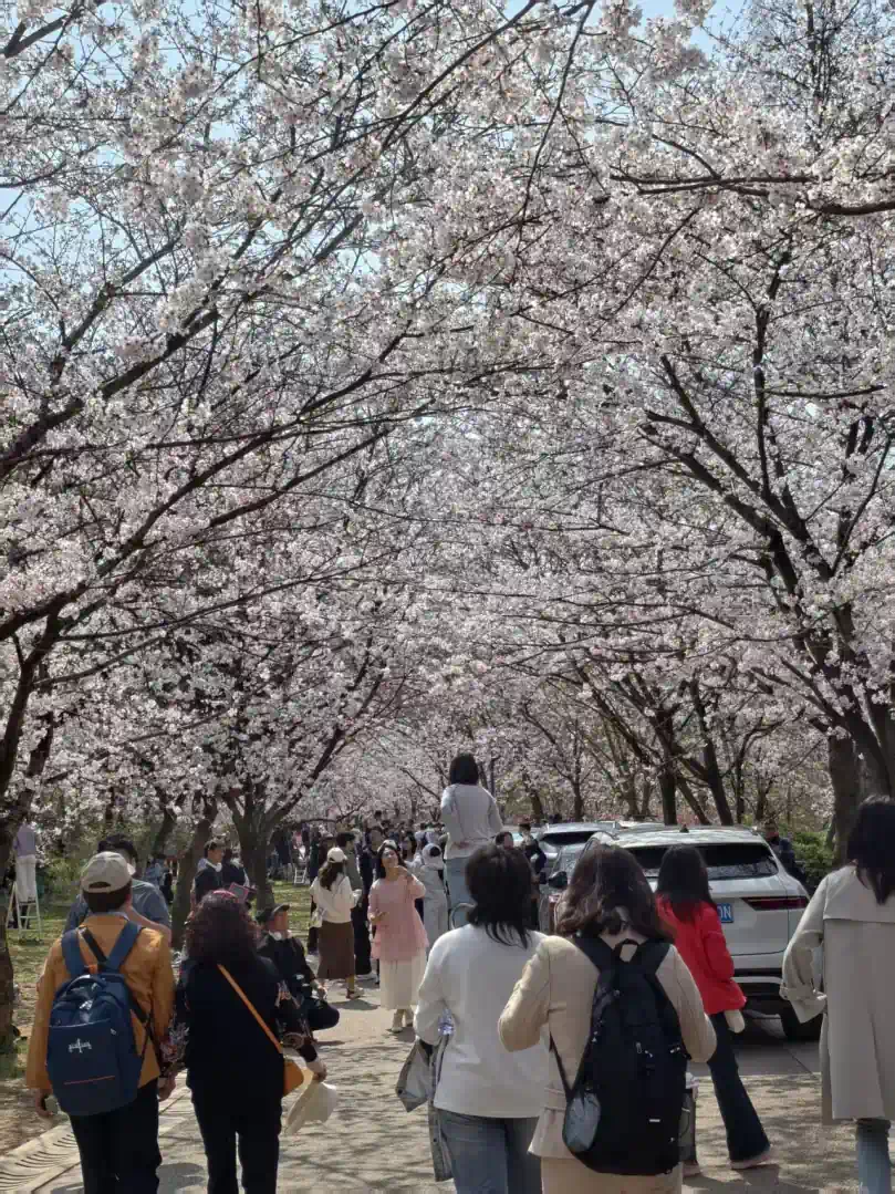 a42a1b8cf6c0b2cde7c9cf8e1e7a9592