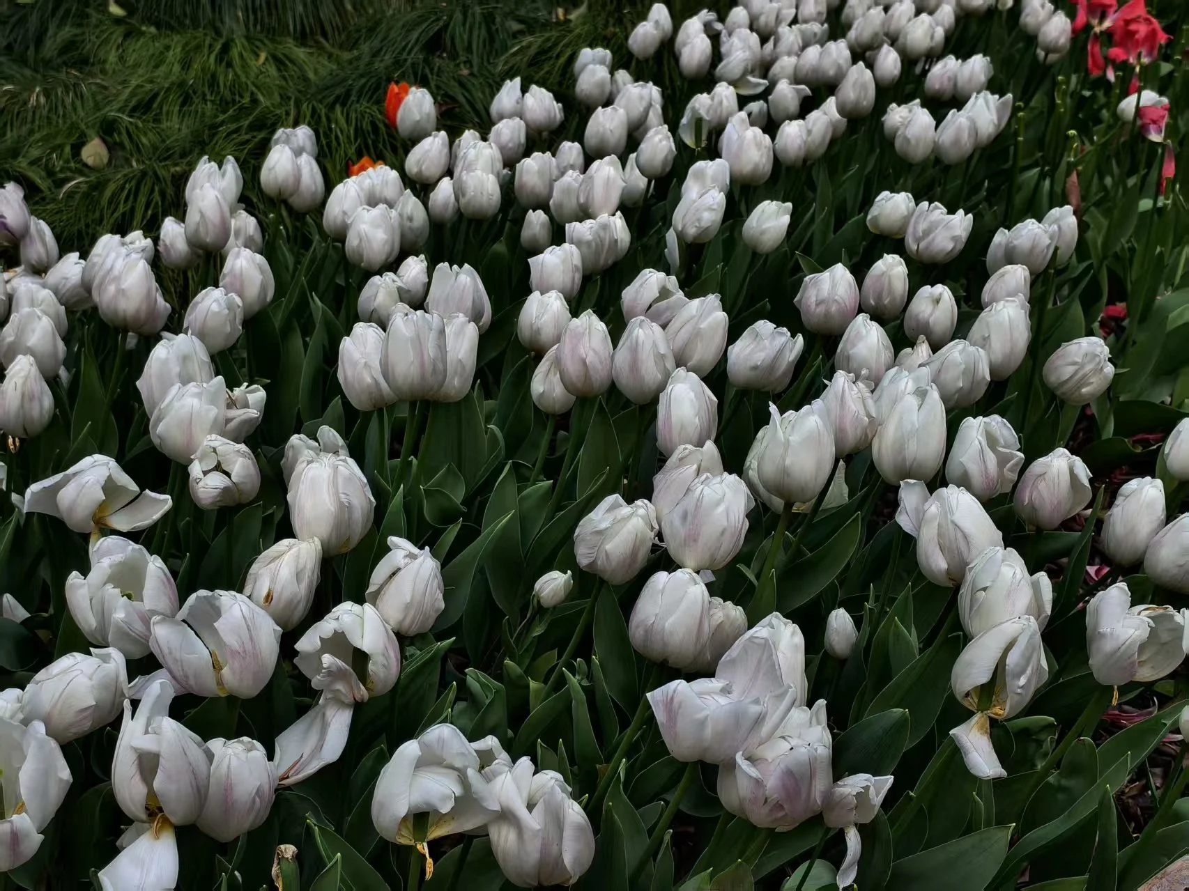 acbea9a3a76fa3210eb069b53349d6e0