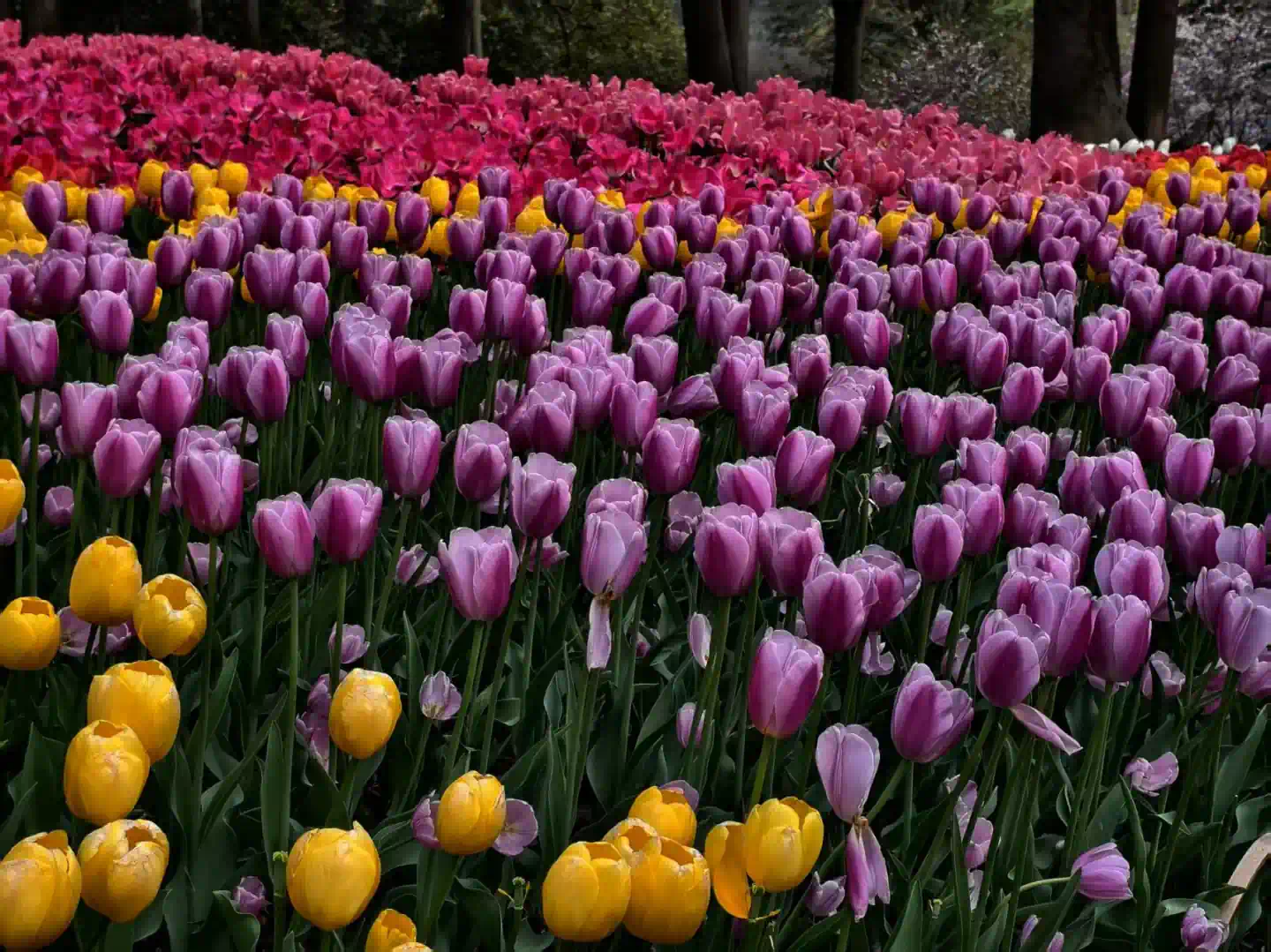 ad41057b40364fa1c6295d0ed0daa918