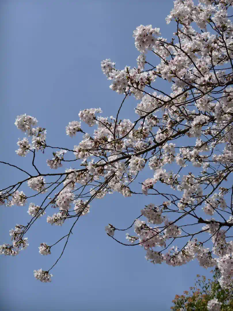 be814927283b6049be986a83e9bec071