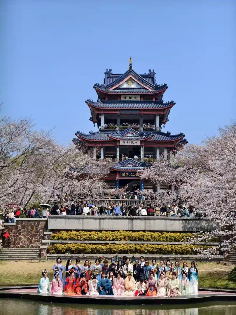 e5da8c722900227f9f72c6bf57a7b4d7