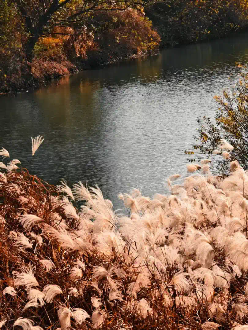 e9a2cb139bd761d96d1a654ab318a1a