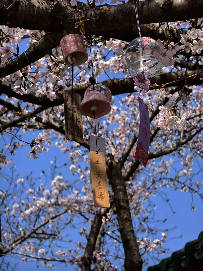 fba2cf2db814f633c1b4b4061fe14c67